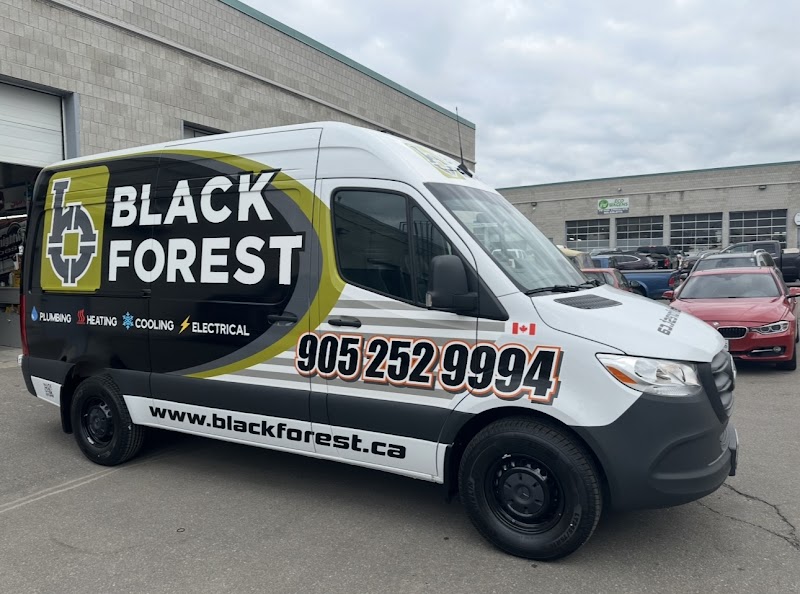Black Forest — plumber in Barrie, ON (photo 2)